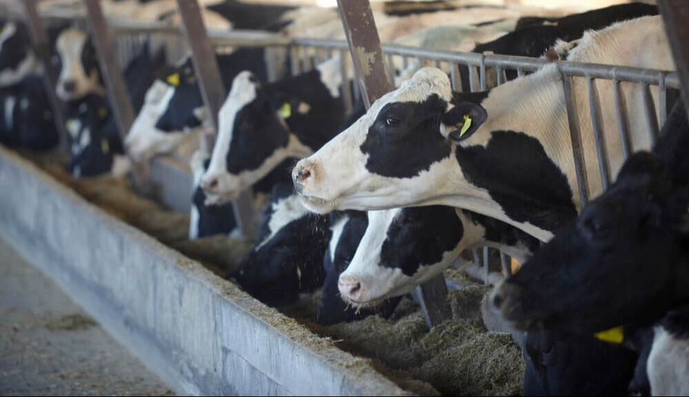 Linha Agro